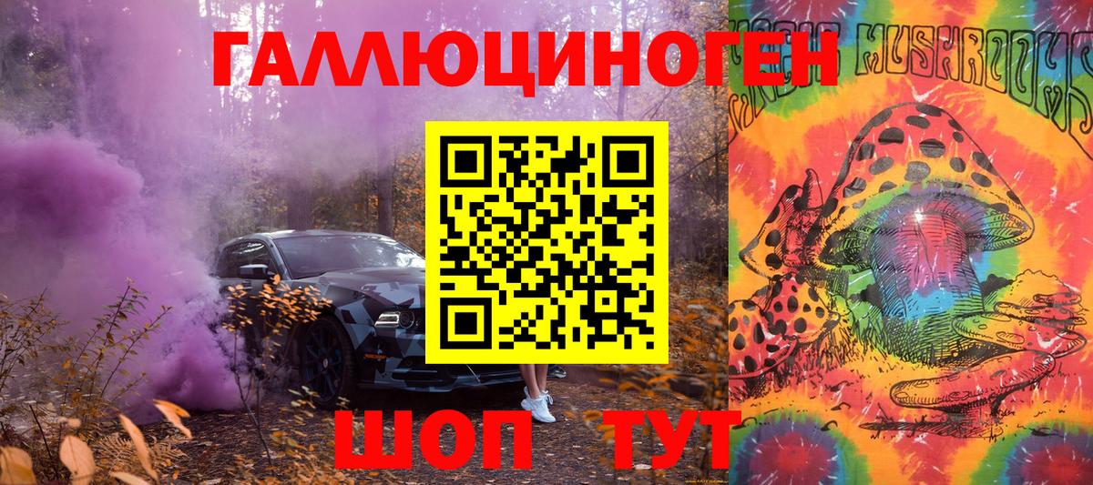 Галлюциногенные грибы Psilocybine cubensis Тверь