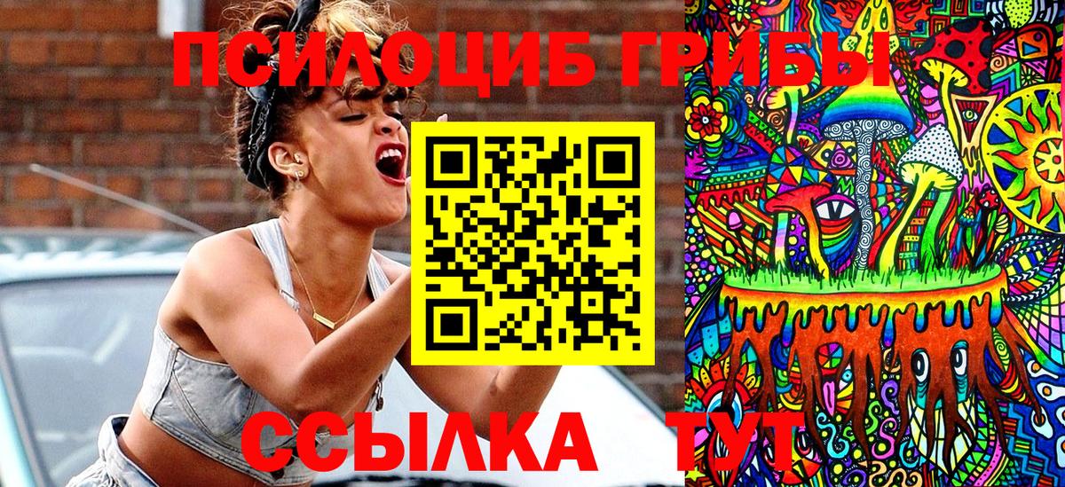 Тверь  Галлюциногенные грибы Cubensis  купить наркотик  Вход с VPN 