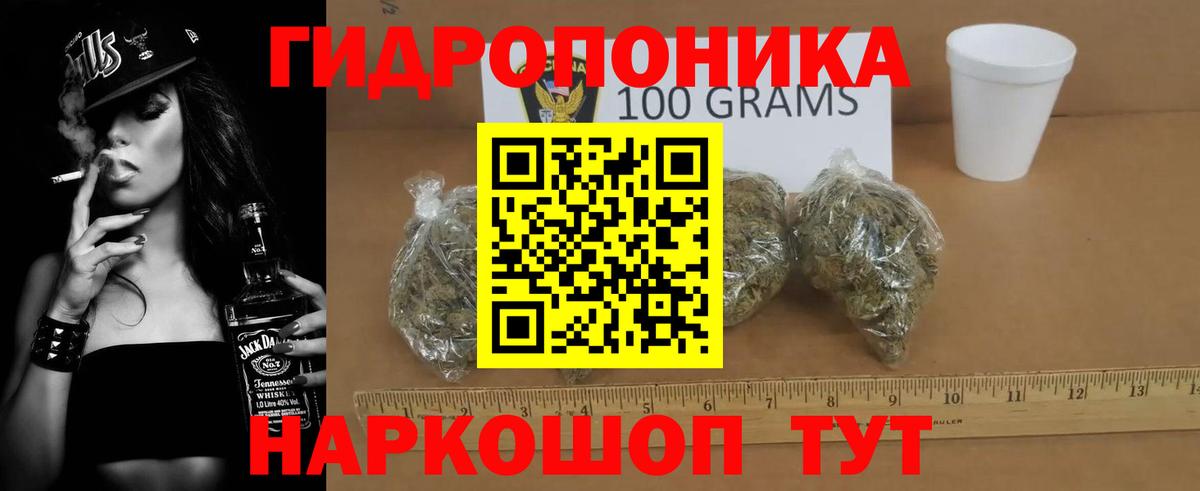 Канабис сатива Тверь